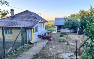 Casă de vânzare în Scoposeni, com. Gorban – 2700 mp teren, 3 construcții, livadă de nuci - Poză 2