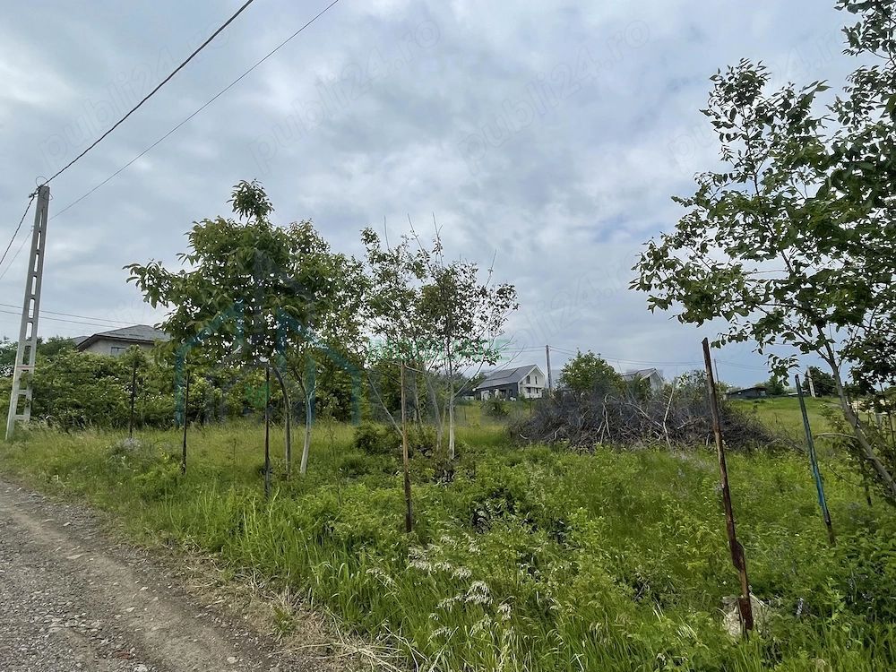 Teren intravilan de 529 mp în Șorogari (Aroneanu) – utilități și studiu geotehnic - Poză 1