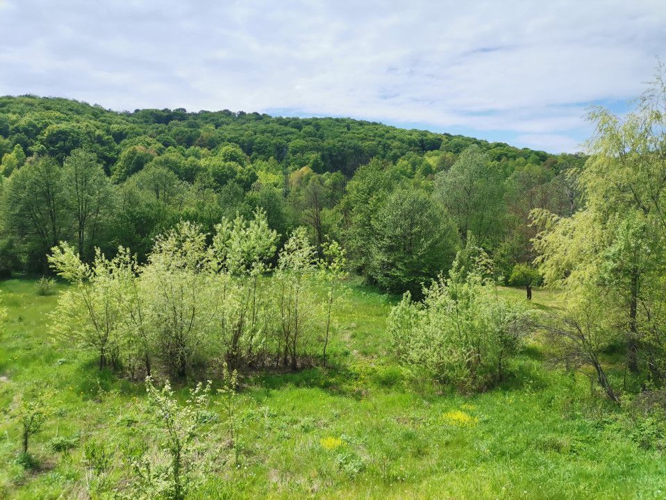 Vanzare casa Cotmeana, stradal - Poză 3