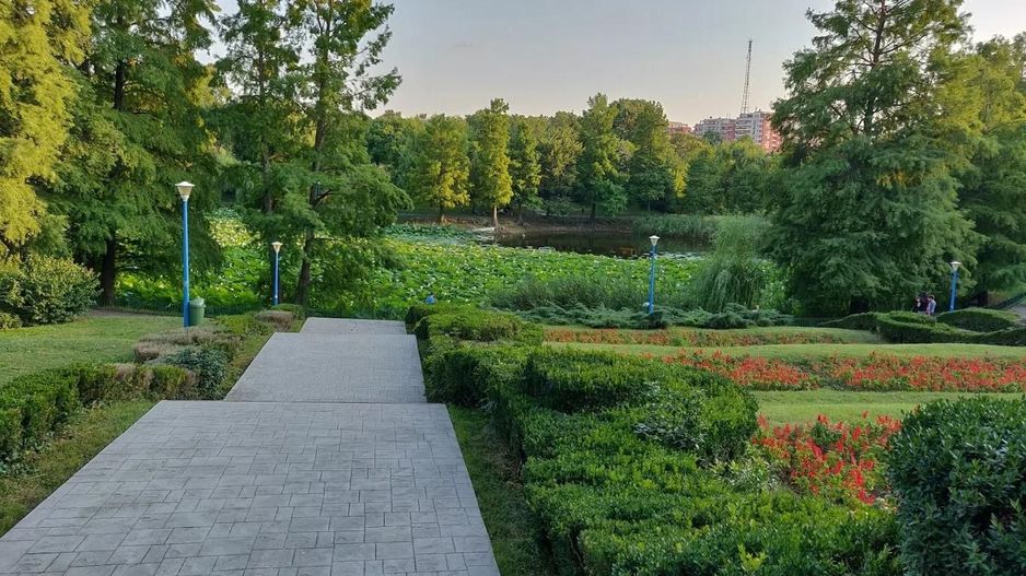 2 camere vedere Parcul Circului - parter | Lacul Tei-Barbu Vacarescu - Poză 10