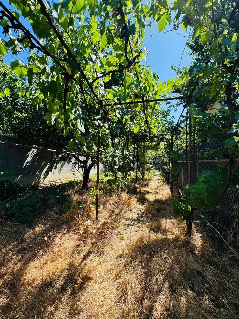 Casa singur in curte Iosia - Poză 3