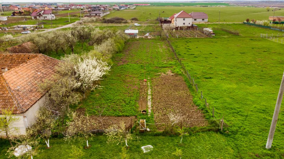 Teren de 1316mp în Frumușeni. - Poză 4