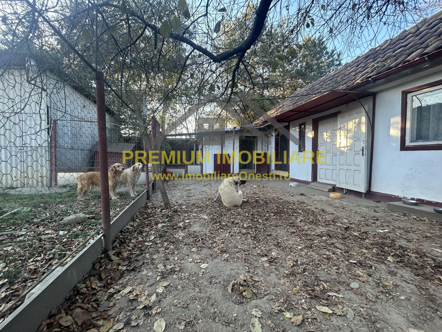 Proprietate multifuncțională cu potențial pentru investiții - Poză 7