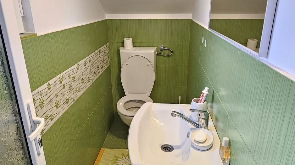 CASĂ individuală  P+M, teren 600 mp, zona M.Grecilor; - Poză 14