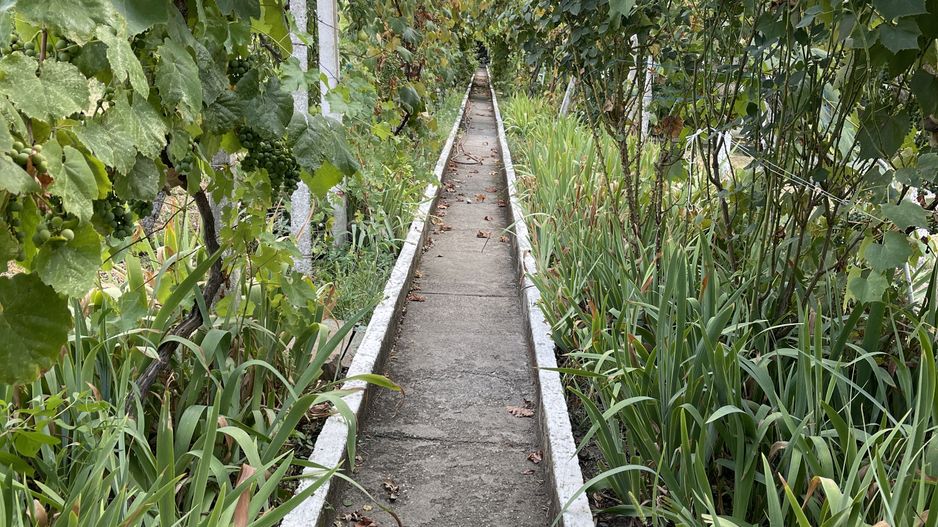 Casa | 9 camere | Garaj | Piscina | Teren 3.000 mp | Comision 0% - Poză 45