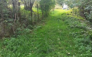 TEREN INTRAVILAN 3698 MP, CAMPULUNG, ARGES - Poză 3