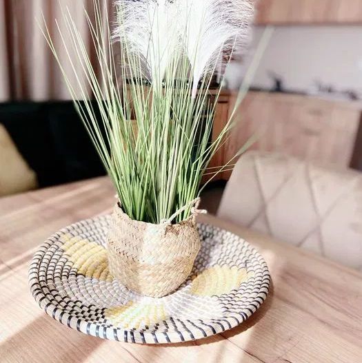 Studio Timpuri Noi - Nerva Traian | Centrala proprie - Poză 4