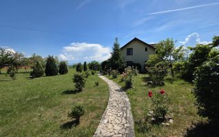 Casa individuala de vânzare | Balata – Soimus | 110 mp| Teren 5.095 mp - Poză 3