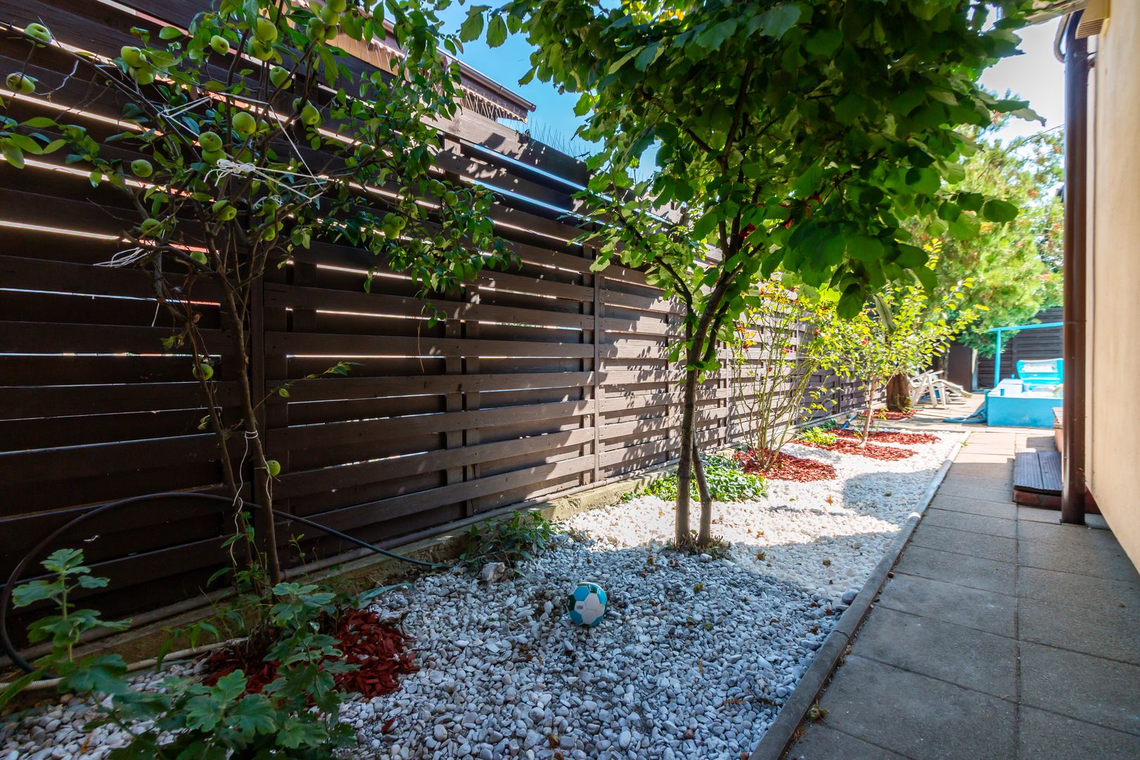 Casă primitoare  | Tunari | Grădină spațioasă plus piscină - Poză 19