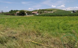 P 1037 - Teren  în județul Mureș - comuna Band - Poză 3