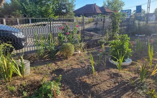 Casă renovata cu teren generos | Anexe | Gurasada | Hunedoara - Poză 33