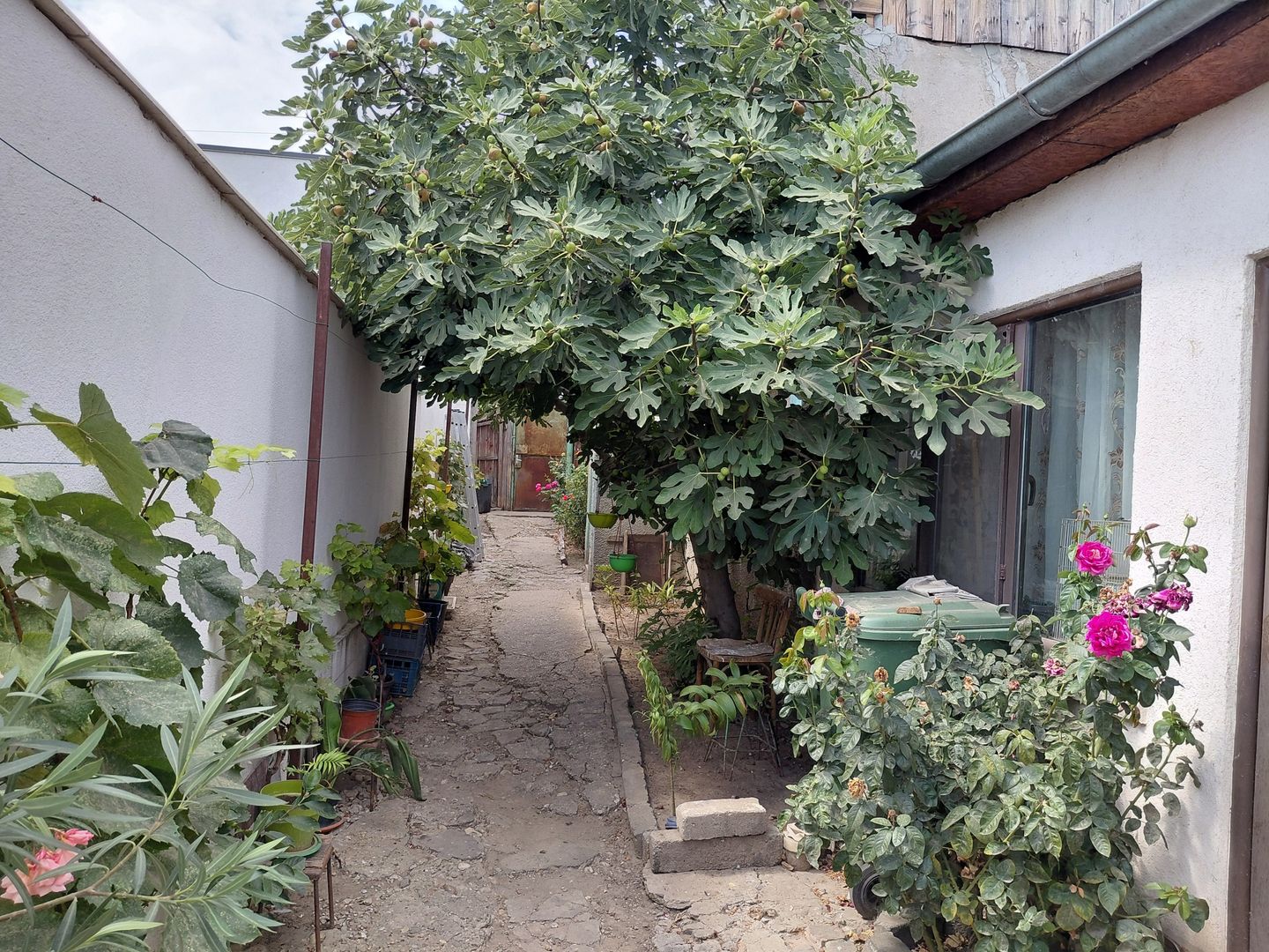 Casa  Galati zona Parcul Carol - Poză 1