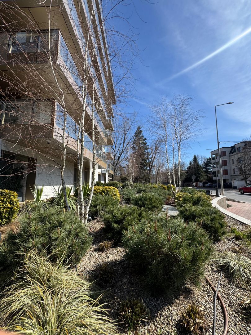 3 CAMERE || CORTINA 126 || EROUIANCU NICOLAE - Poză 12