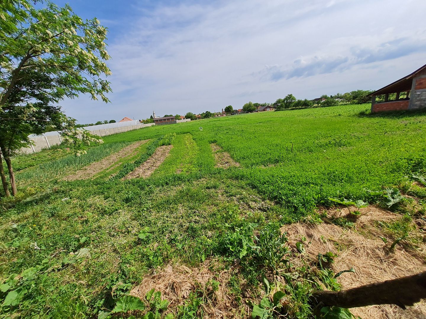 Casa nemțească cu teren generos - Poză 1