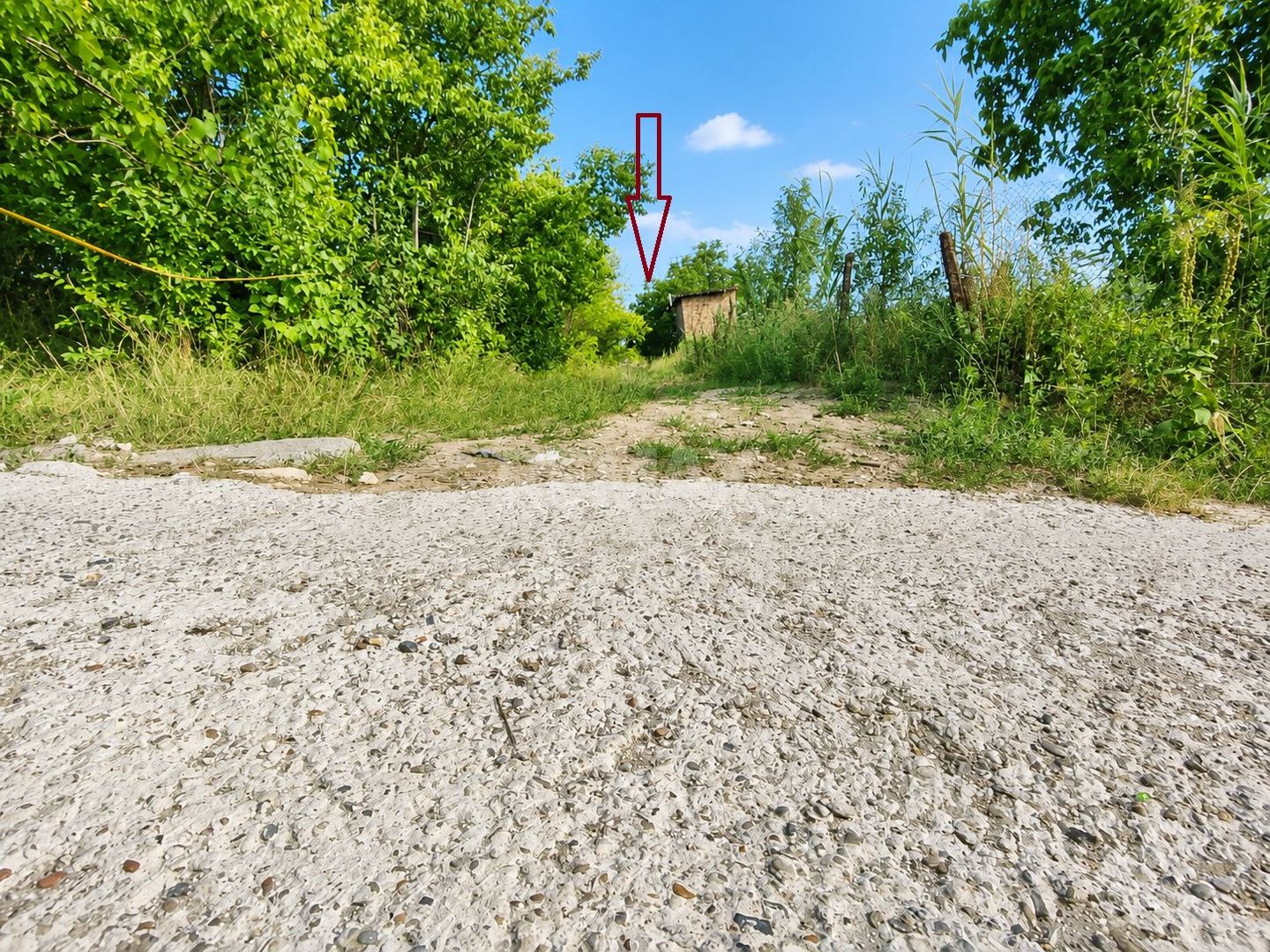 Lot pomiol în Sângera | Î.P. „Roadă Bună” | Zonă Locuită - Poză 5