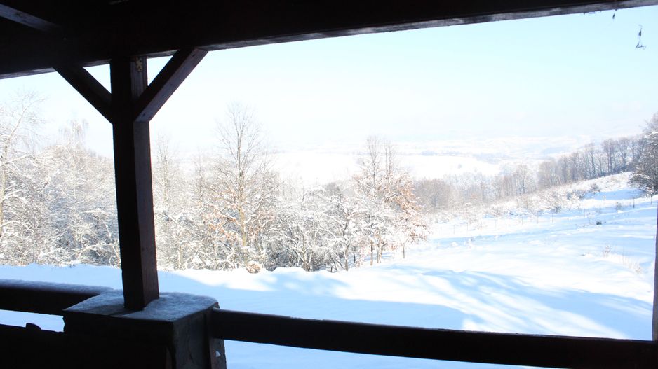 Proprietate rară | 4458 mp teren intravilan | Casă solidă, natură, liniște totală. | Bratca, Bihor. - Poză 49