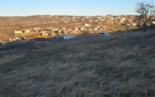 InvestZone vinde teren intravilan 20.000mp strada Prunilor -Oradea - Poză 3