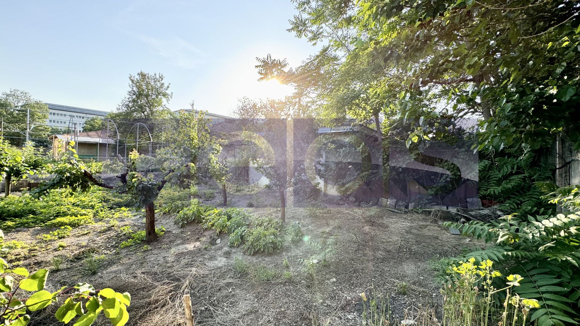 VANZARE TEREN 452 MP | CARPATI | SPITAL - Poză 5