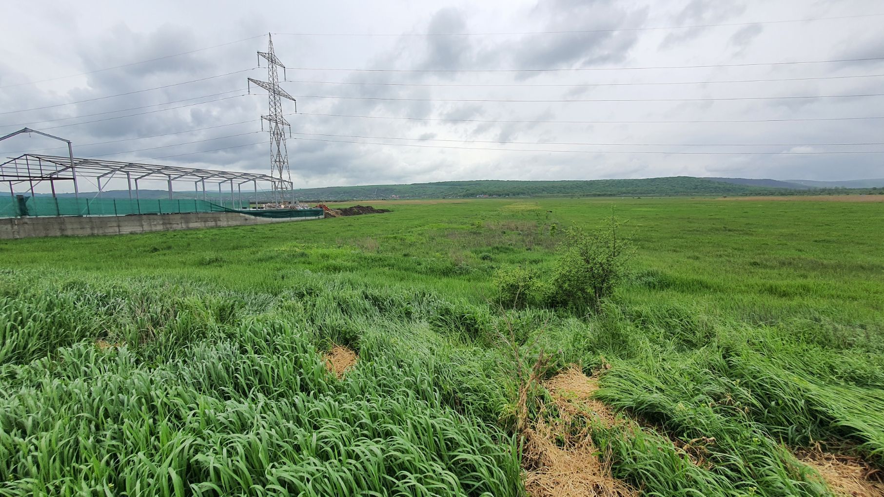 Teren 5000 mp, cu acces la DN 15D, zona Ciusmeaua Moldovencei. - Poză 2