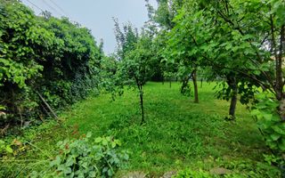 CASA INDIVIDUALA GHIRODA +TEREN 1752 MP - Poză 40