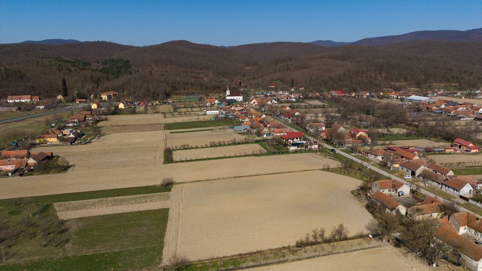 Loc de casă în Odvoș - Conop 3000mp - Poză 5