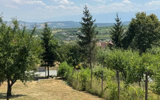 Casa cu 3 camere si teren | 111mp utili 450mp teren | Daia Noua | EXCLUSIVITATE - Poză 8