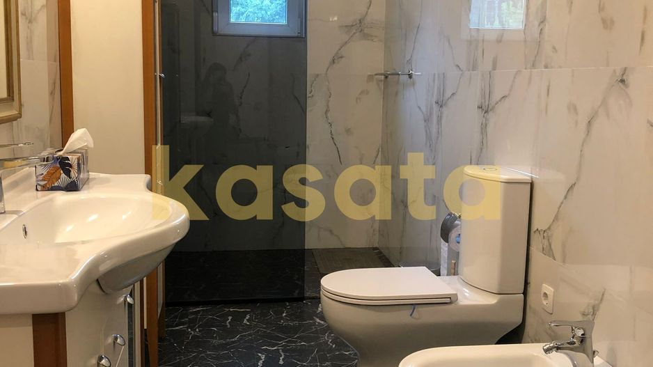 Vila deosebita 11 camere Erou Iancu Nicolae - Poză 18