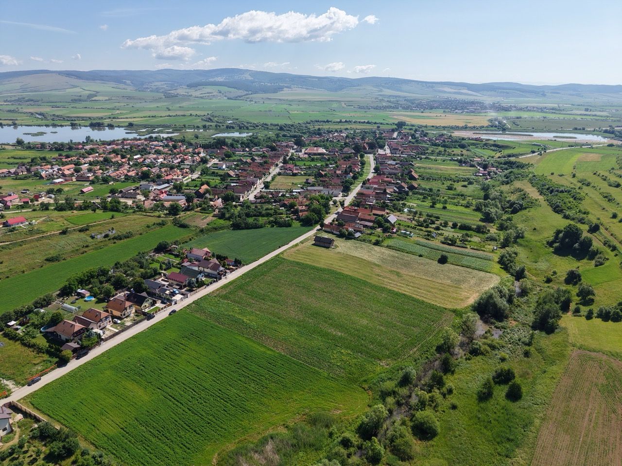 Teren intravilan 10.000 mp, Rotbav (Feldioara) - Poză 5