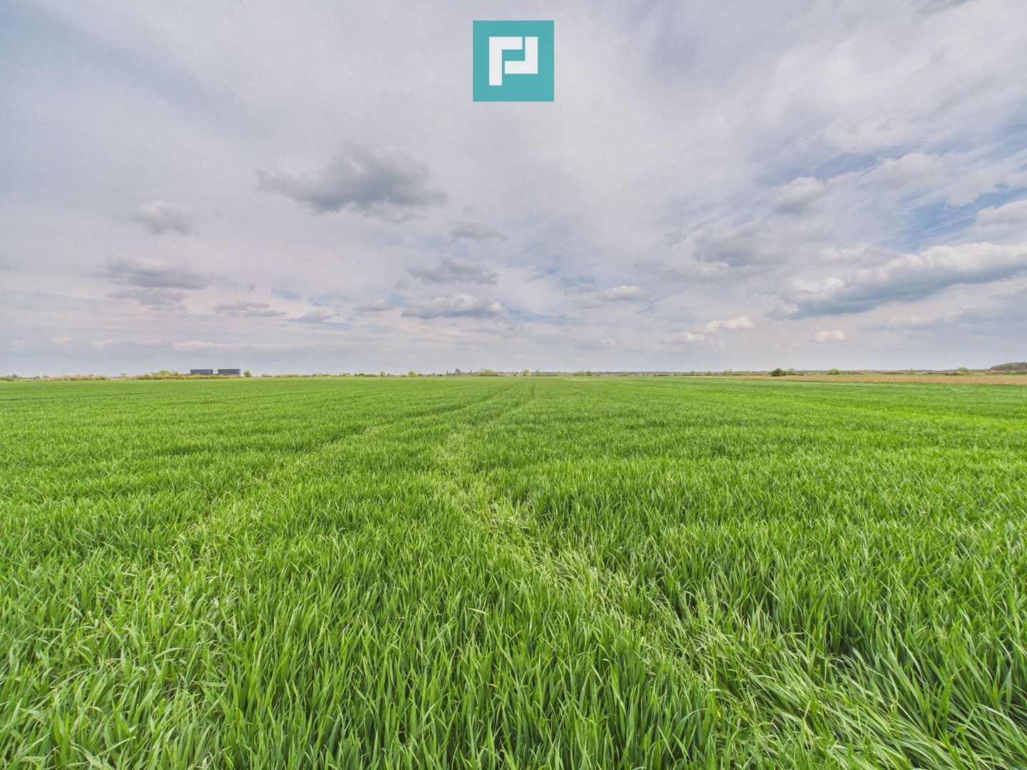 Teren extravilan 19.900 mp – Giroc centură - Poză 2