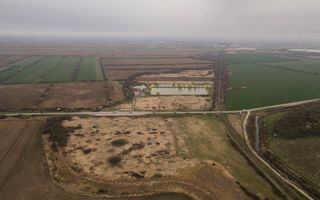 Teren extravilan in Ineu - Poză 9