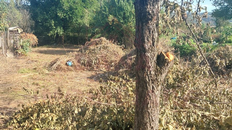 CASĂ DE VÂNZARE 2 CAMERE\ ZĂVOI\ JUD. CARAȘ-SEVERIN - Poză 7