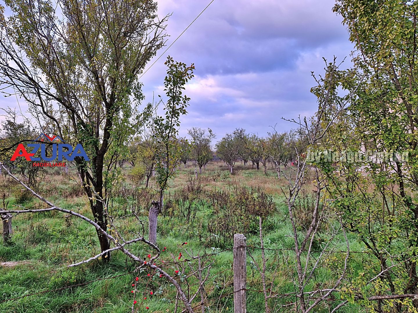 AZURA Imobiliare - Teren Bascov str Paisesti Deal - Poză 10