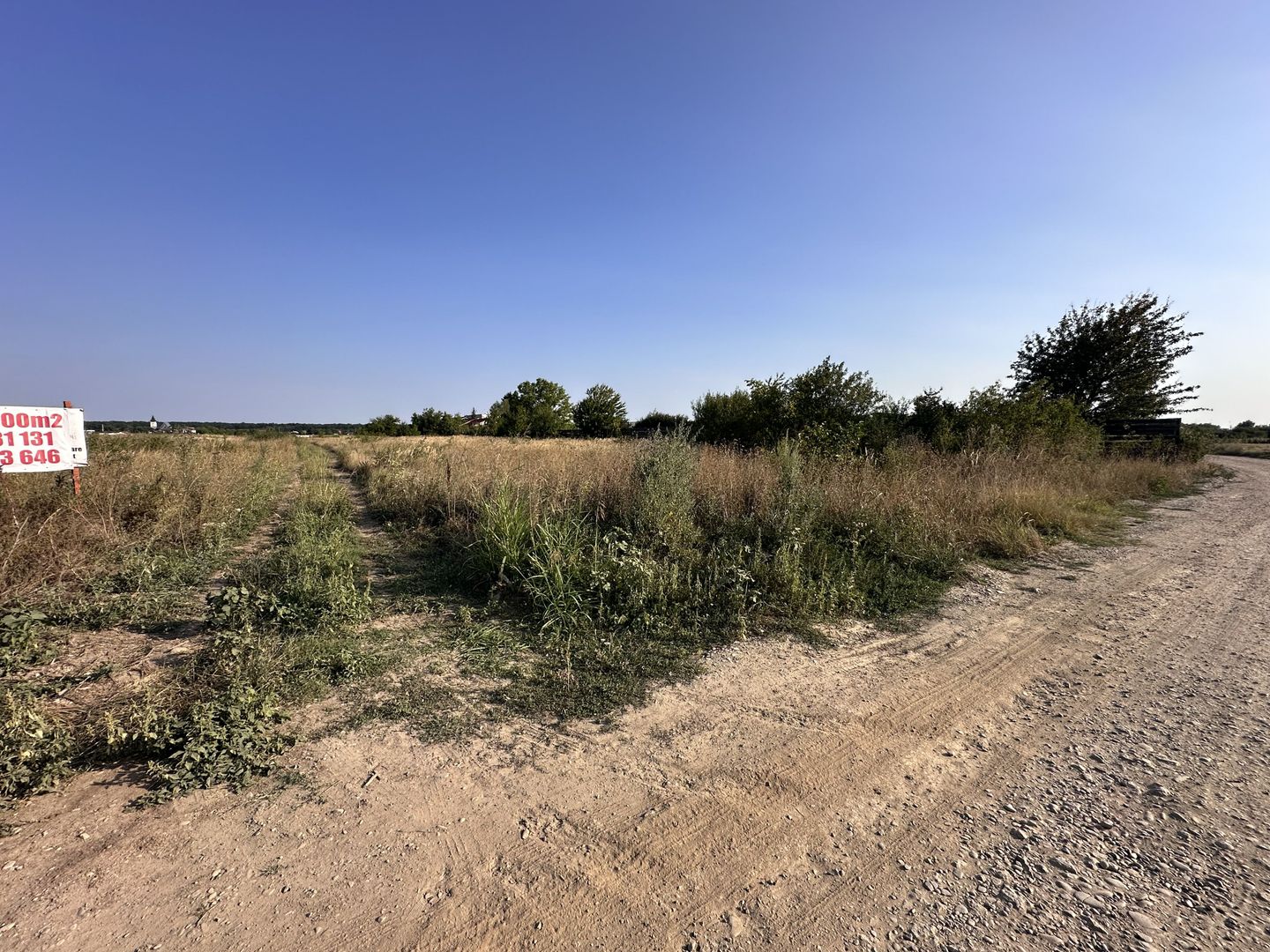 Teren Tancabesti intravilan iesire la lac Snagov - Poză 10