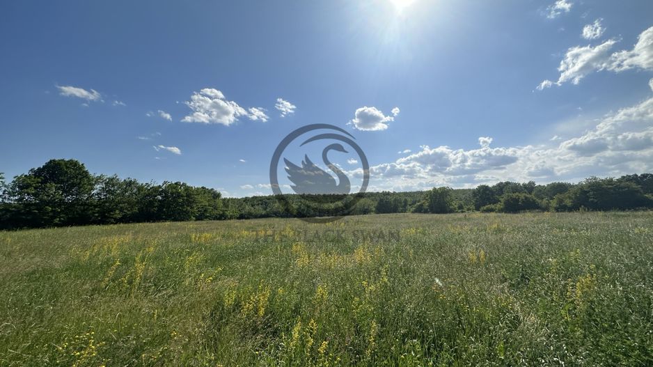 Teren intravilan de vanzare | 11.000 mp | Ghirdoveni | Comision 0% - Poză 7