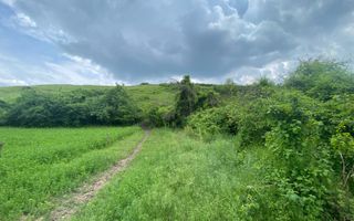 Domeniu 15.900 mp în Fințești | Casă + Investiție Dealu Mare - Poză 11