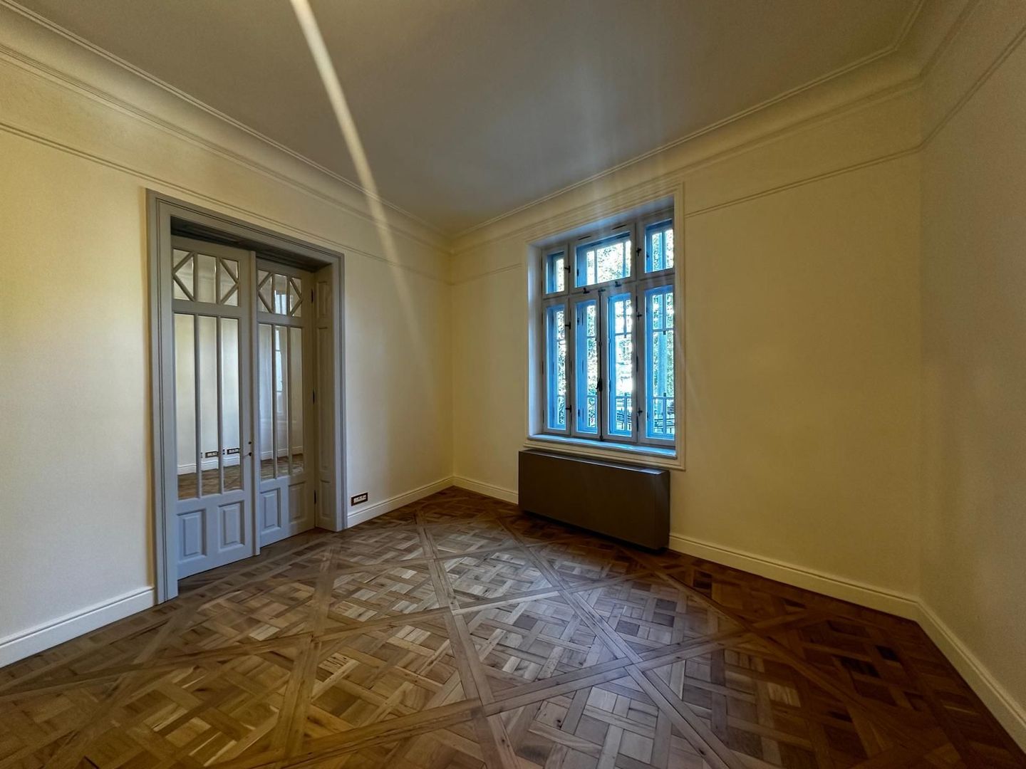 Apartament 5+ demisol Zona Traian - Poză 2