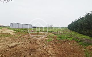 Teren intravilan de inchiriat in Santandrei, Bihor - Poză 3