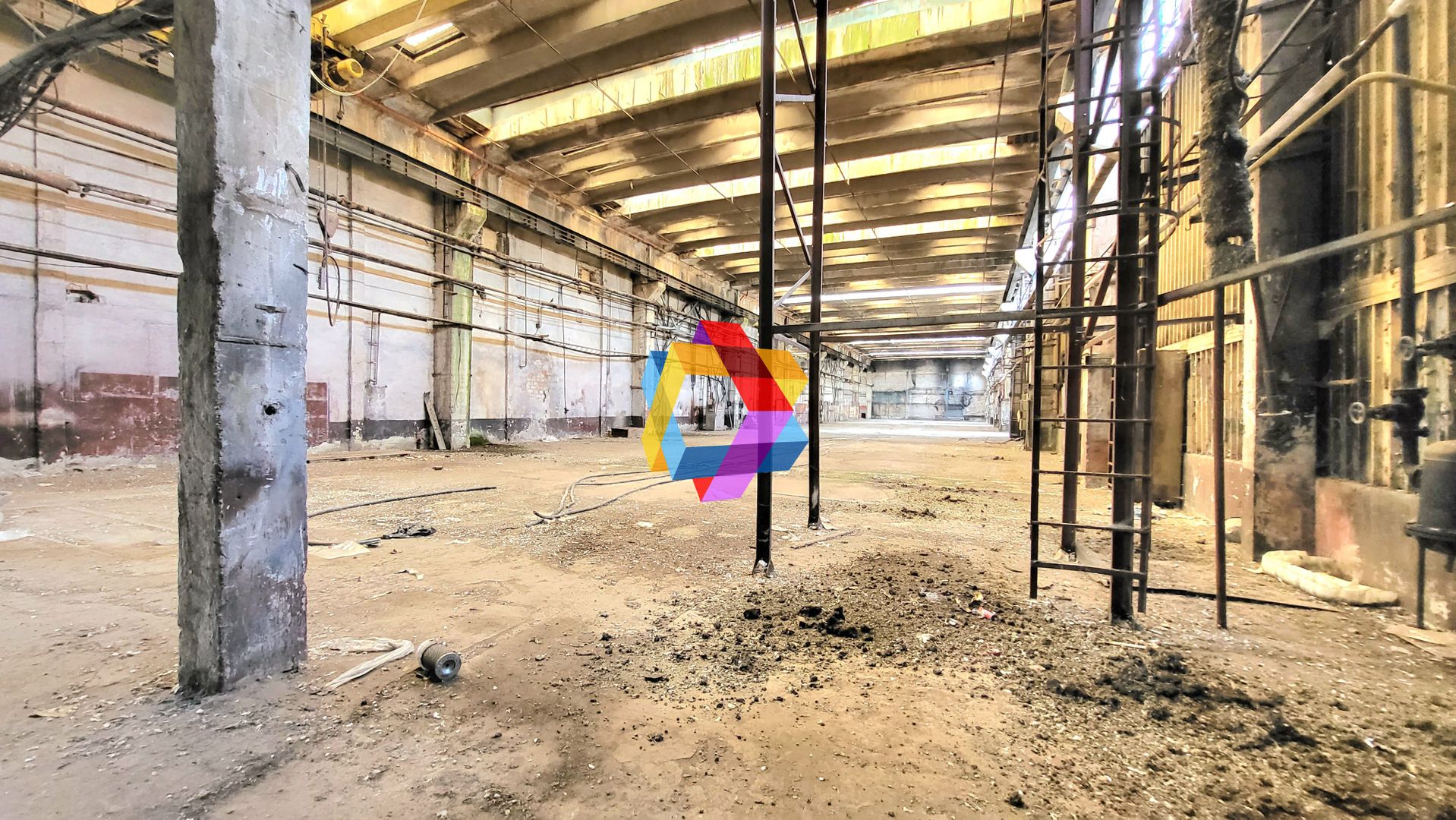 Hala - 8062 mp  # plus-imo.ro - Poză 6