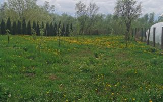 Casa noua, inconjurata de natura in Colun - Sibiu - Poză 12