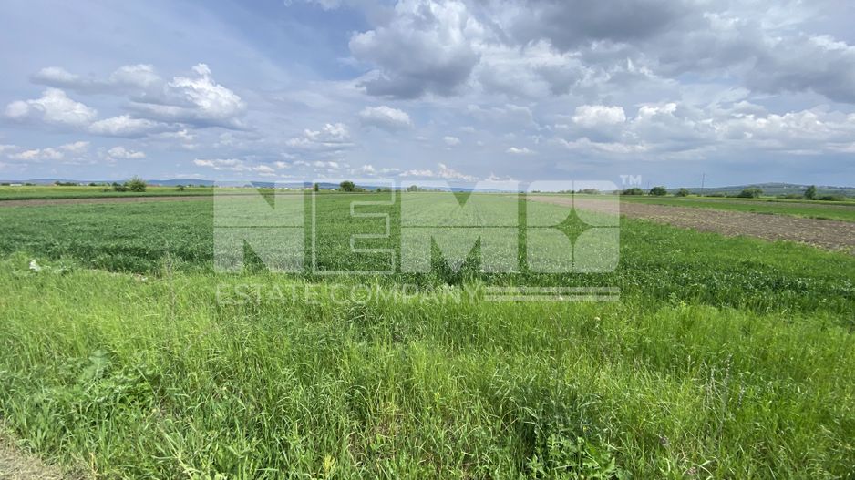 Teren Burla | Strada Principala | 78 ARI - Poză 2