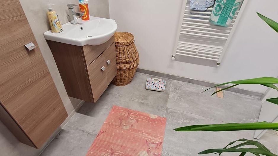 Duplex deosebit în Mosnita Noua - Poză 48