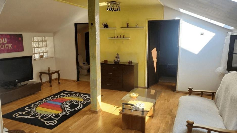 APARTAMENT MANSARDA PARC CAROL - Poză 1