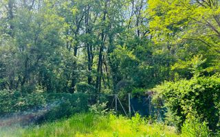 Vânzare, vilă, 6 camere, loc. Corbeanca, București - Poză 21