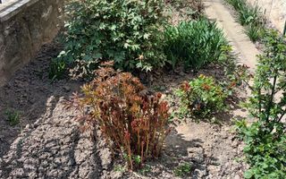 Casa de vanzare in localitatea Balc - Poză 2