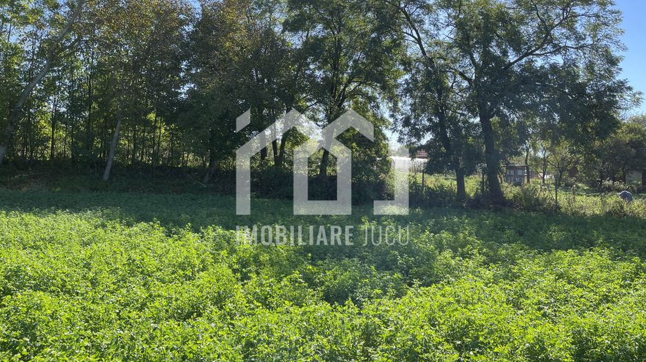 Teren Intravilan 1000mp - Jucu de Sus - Poză 5