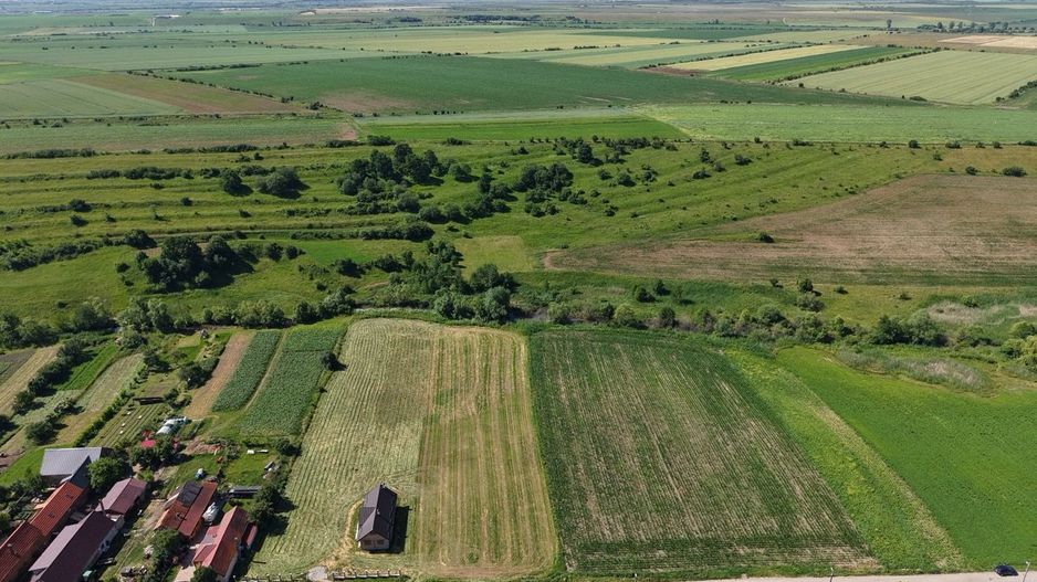 Teren intravilan 10.000 mp, Rotbav (Feldioara) - Poză 4