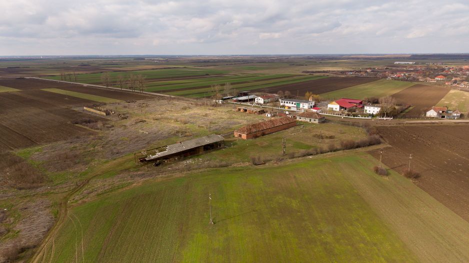 Fermă cu teren intravilan de 35000 mp în Mișca - Poză 11