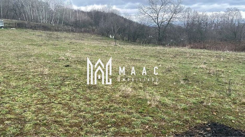 Teren Vladesti | 2311 mp | Intravilan +extravilan | - Poză 3
