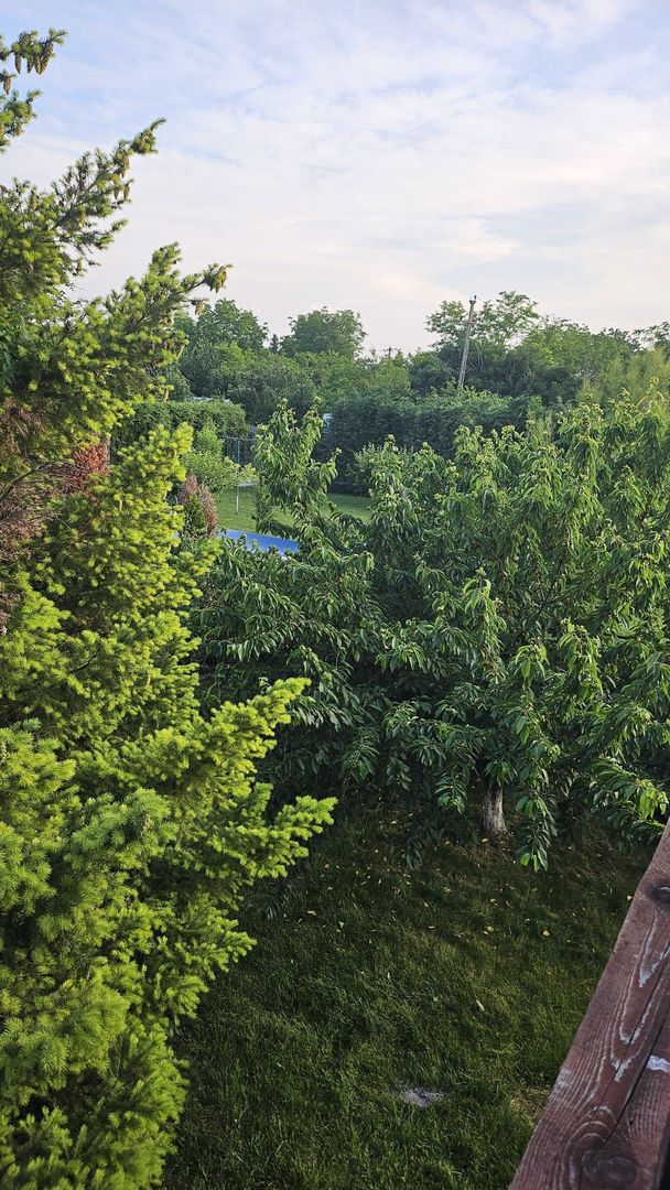 Vila 8 camere Dascalu - Poză 23