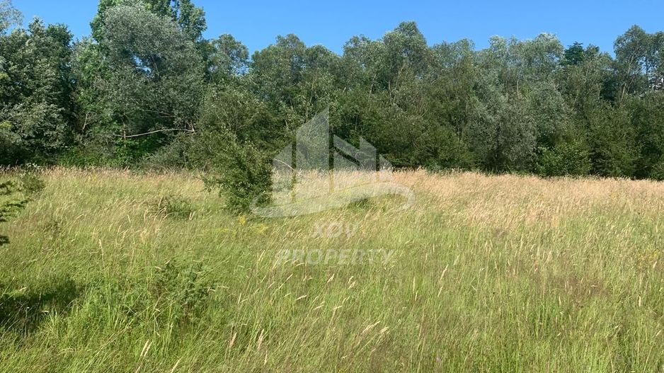 Teren in zona turistica Porumbacu de Sus - Poză 2